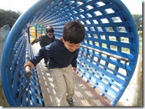 IMG_5790 IMG_5790