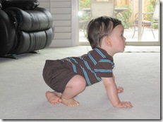 crawling